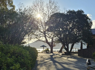 �����������c