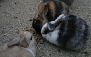 ����������A