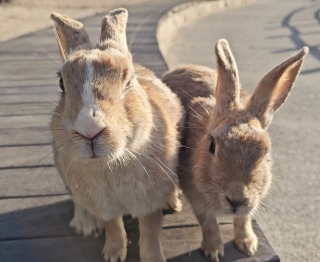 ����������A