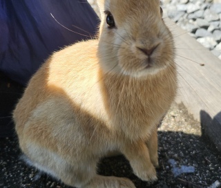 ����������A