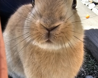 ����������A