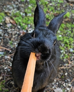 ����������A