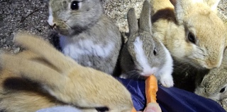 ����������A