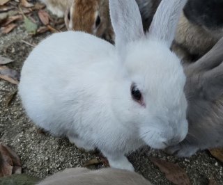 ����������A