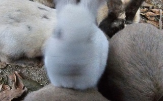 ����������A