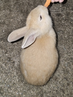 ����������A